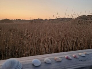 Ferienhaus St. Peter-Ording Umgebung 36