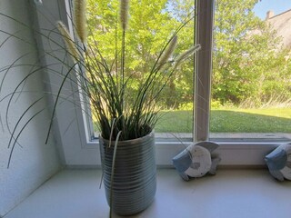 Blick aus dem Schlafzimmerfenster