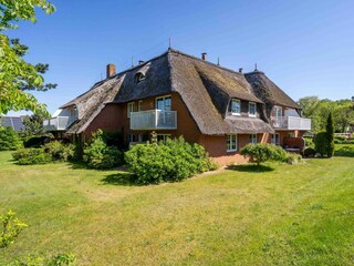 Hausbild Wattläufer