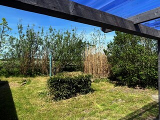 Blick in den hinteren Garten