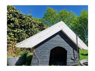Hundehuette