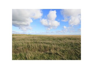 Ferienhaus St. Peter-Ording Außenaufnahme 2