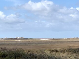 Blick auf die Seebrücke und die Arche Noah