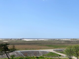 Blick über den Deich und das Vorland