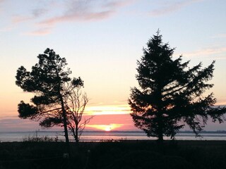 Ferienhaus St. Peter-Ording Außenaufnahme 4