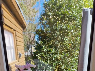 Aussicht aus der Küche