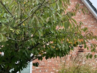 Ferienhaus St. Peter-Ording Ausstattung 29