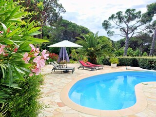 Villa Les Issambres Registrazione all'aperto 7