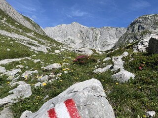 Casa per le vacanze Turnau Ambiente 29