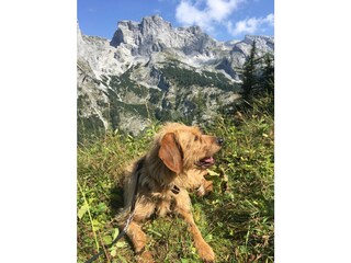 Casa per le vacanze Turnau Ambiente 20