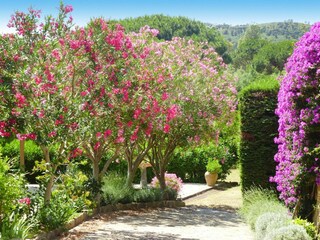 Holiday house Les Issambres Outdoor Recording 7