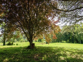 Cottage Payzac (Dordogne) Außenaufnahme 7
