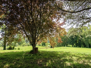 Maison de vacances Payzac (Dordogne) Enregistrement extérieur 7