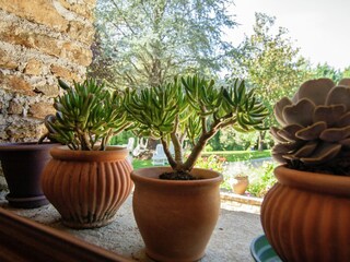 Maison de vacances Payzac (Dordogne)  34