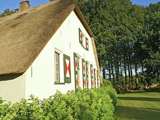 Bauernhof Doorn Außenaufnahme 4