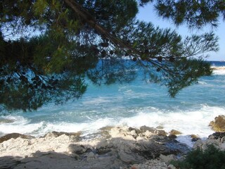 Appartamento per vacanze Primosten Ambiente 26