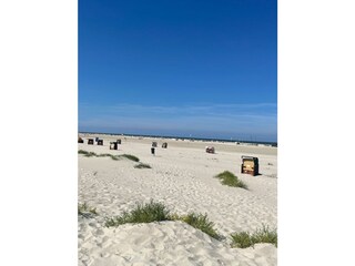 Ferienhaus Norddorf Umgebung 100