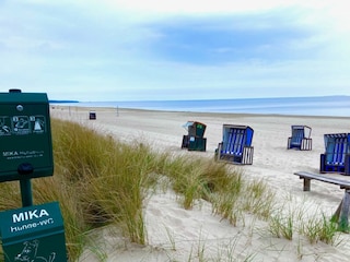 Ferienhaus Trassenheide Umgebung 14