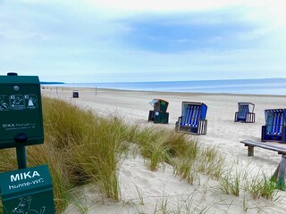 Holiday house Trassenheide Environment 14