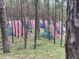 Ferienhaus Trassenheide Umgebung 15