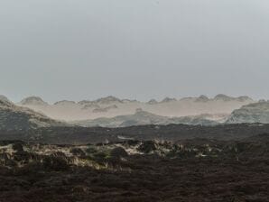 Ferienhaus Dünenjuwel