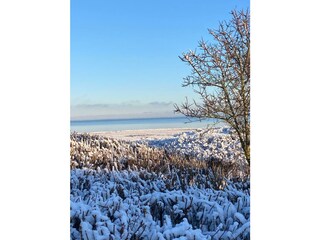 Ferienhaus List Außenaufnahme 2