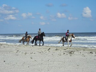 Bungalow Ballum Ambiente 17