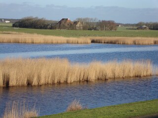 Bungalow Ballum Ambiente 18