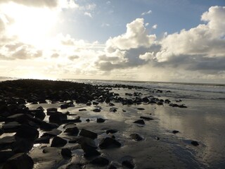 Bungalow Ballum Ambiente 19