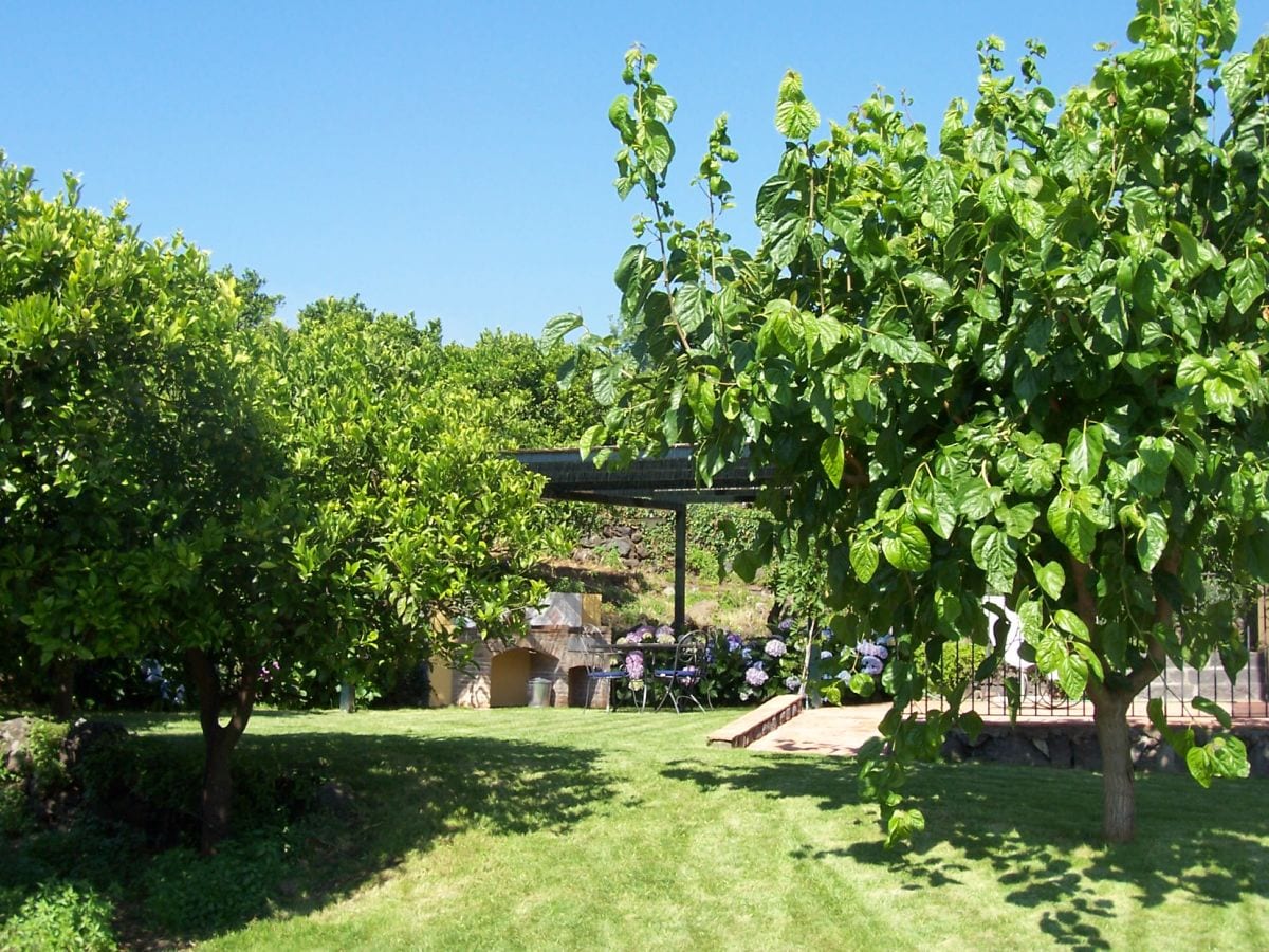 Garten, Grillplatz