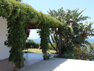 Villa Capo Vaticano Registrazione all'aperto 9