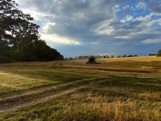 Ausblick über Felder