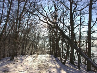 Ferienwohnung Nieder-Werbe Umgebung 16