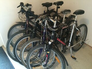 Appartamento Zlatá Olešnice  39