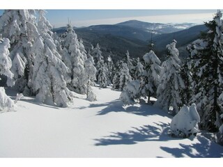 Apartamento Zlatá Olešnice Entorno 32