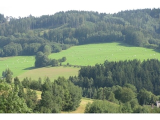 Appartamento Zlatá Olešnice Ambiente 35