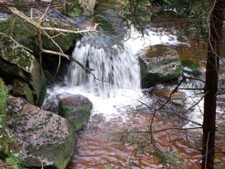 Casa de vacaciones Blankenburg Entorno 28