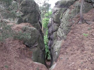 Holiday house Blankenburg Environment 30