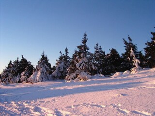 Casa de vacaciones Blankenburg Entorno 33