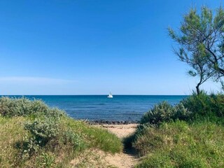 Apartment Cap d'Agde Environment 31