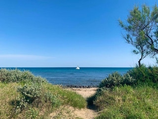 Apartment Cap d'Agde Environment 31