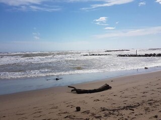 Appartement Valras-Plage Environnement 63