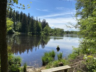 Idyllische Badeseen wöchentlich Weisenblasen auf dem Se