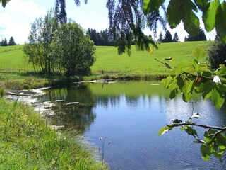 Böhmerweiher -  Acheleschwaig o. Bayersoien