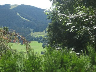 Ihr Ausblick zum Hörnle vom Südbalkon