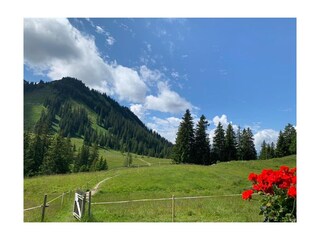 Auf zur Enning-Alm