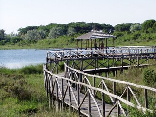 Casa per le vacanze Taglio di Po Ambiente 38