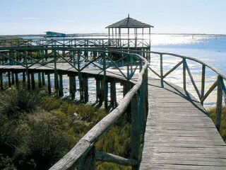 Casa per le vacanze Taglio di Po Ambiente 33