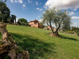 Villa Riccio Environnement 25