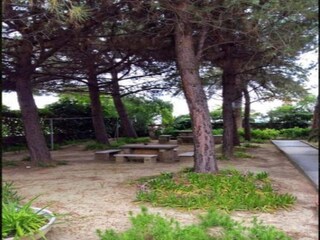 Apartamento Alba Adriatica Entorno 38